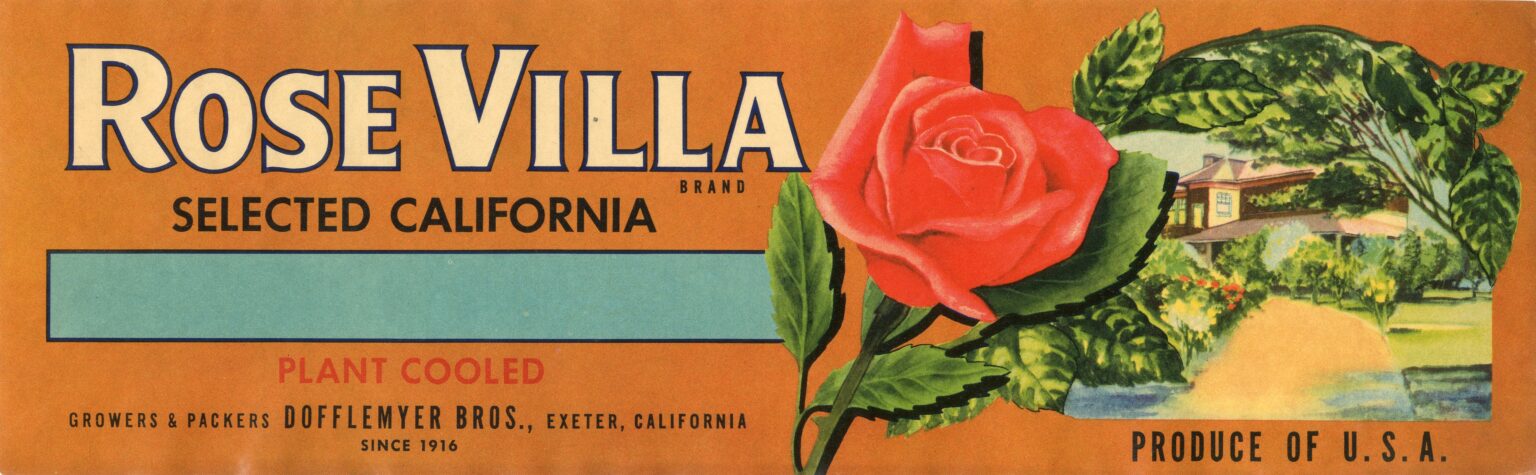 Rose Villa Rose Villa